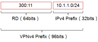 vpnv4 route format